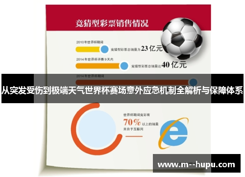 从突发受伤到极端天气世界杯赛场意外应急机制全解析与保障体系