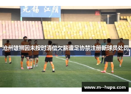 沧州雄狮因未按时清偿欠薪遭足协禁注册新球员处罚